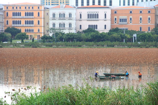 Lake in Taipa, Macau