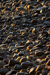 Fototapeta na wymiar Shore Stones on Beach