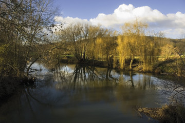 Fototapeta na wymiar river avon welford on avon warwickshire england uk