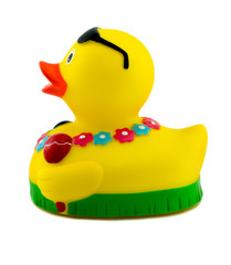 Badeente in Gelb 5