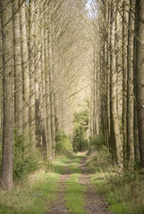 footpath trail in the english countryside UK