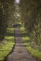 footpath trail in the english countryside UK