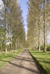 footpath trail in the english countryside UK