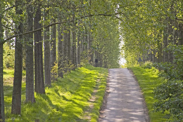 footpath trail in the english countryside UK
