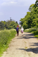 footpath trail in the english countryside UK