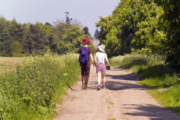 Obraz premium footpath trail in the english countryside UK