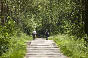 Fototapeta premium footpath trail in the english countryside UK