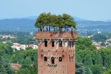 Guinigi Tower in  Lucca,Italy