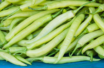 Freshly harvested jalapeno peppers.