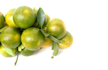 Oranges background on white. for food.