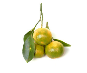 Oranges background on white. for food.