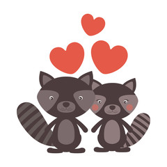 Raccoon cartoon in love icon. Animal cute adorable creature and friendly theme. Isolated design. Vector illustration