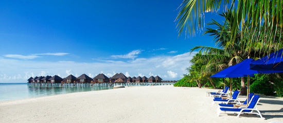Plakat tropical beach in Maldives