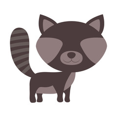 Raccoon cartoon icon. Animal cute adorable creature and friendly theme. Isolated design. Vector illustration