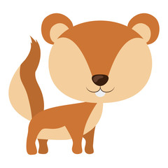Squirrel cartoon icon. Animal cute adorable creature and friendly theme. Isolated design. Vector illustration