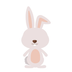 Rabbit cartoon icon. Animal cute adorable creature and friendly theme. Isolated design. Vector illustration
