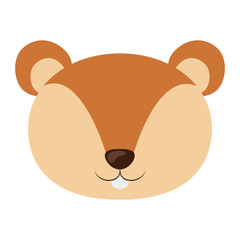 Squirrel cartoon icon. Animal cute adorable creature and friendly theme. Isolated design. Vector illustration