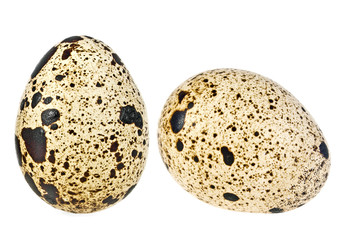 Obraz premium Quail eggs on a white background