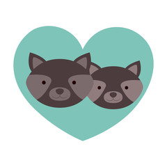 Raccoon cartoon in love icon. Animal cute adorable creature and friendly theme. Isolated design. Vector illustration