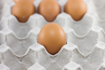 fresh brown eggs and white eggs