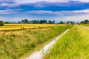 Fototapeta na wymiar irrigation canal along fields in countryside