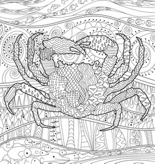 Fototapeta premium Sea crab with high details.