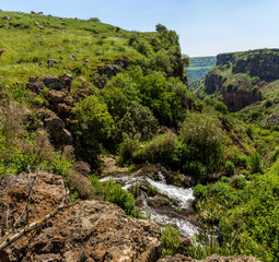 Fototapeta na wymiar Gamla stream in the same name nature reserve, Israel