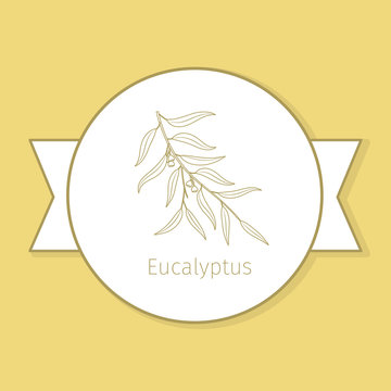 Eucaluptus medicine plant, yellow label design in circle shape. Vector illustration