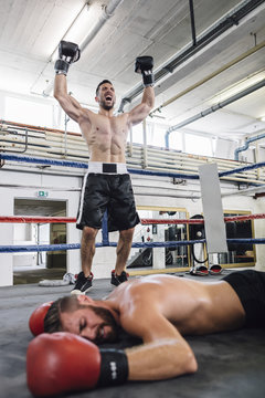 Boxer celebrating victory over his opponent