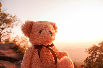 Bear toy with sunset sky background