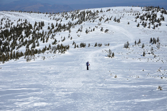 Woman doing winter trekking in the mountains