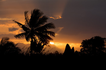 Coconut-tree palm silhouette and sunset over the river