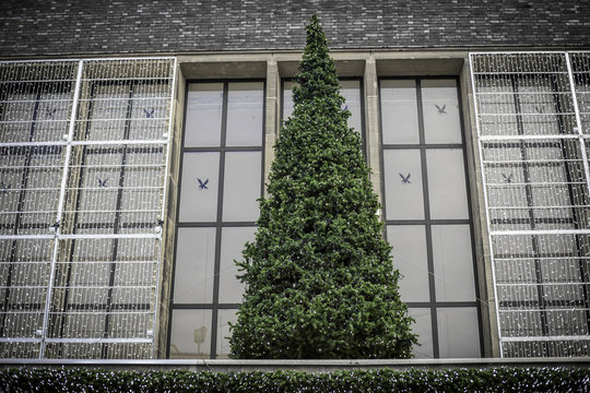 Geschmückter Weihnachtsbaum über dem Eingang am Bahnhof in Düsseldorf
