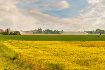 Fototapete bei efototapeten.de bestellen   