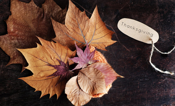 Thanksgiving background with dried maple leaf