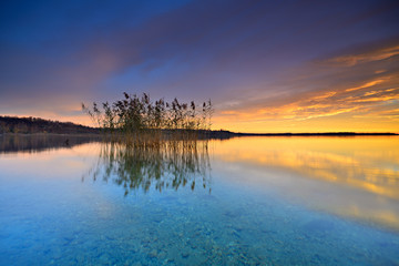 Stiller See bei Sonnenaufgang, Blick durchs klare Wasser auf den Grund des Sees, Schilf spiegelt sich