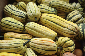 Small pumpkins at Halloween market in USA.