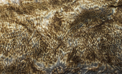 texture of the fur, fur, winter fashion wear,