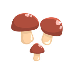 Three Brown Cap Cepe Mushrooms Isolated Element Of Forest Landscape Design For The Flash Game Landscaping Purposes