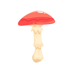 Orange-Cap Boletus Mushroom Isolated Element Of Forest Landscape Design For The Flash Game Landscaping Purposes