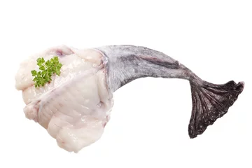 Fotobehang picture of monkfish in front white background © JPC-PROD