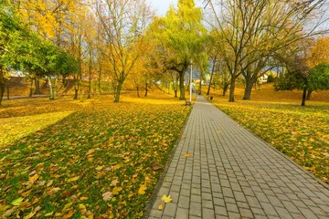 Colorful fall park in small city in Poland