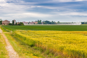 Fototapete bei efototapeten.de bestellen   