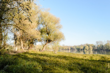 Lake in their autumn colors