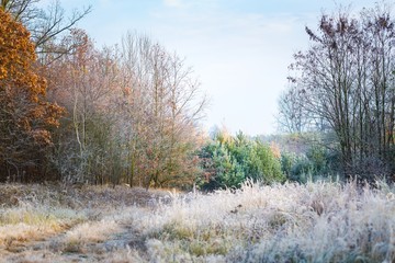 Beautiful frosty morning in countryside