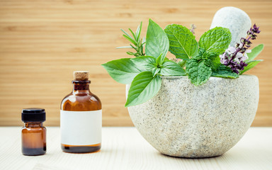 Alternative health care and herbal medicine .Fresh herbs and aro