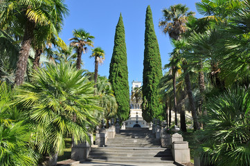 The arboretum in Sochi