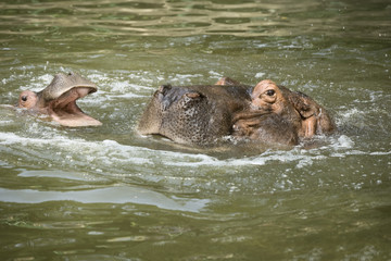 시멘트 공장 이미지