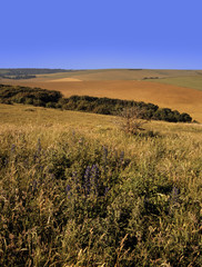 Fototapeta premium south downs sussex uk