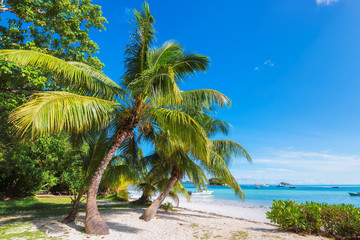 Beautiful beach at Praslin island, Seychelles